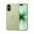 SageBrush Green